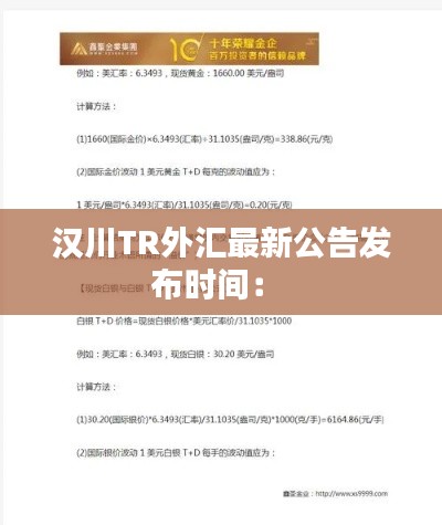 汉川TR外汇最新公告发布时间： 