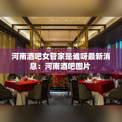 河南酒吧女管家是谁呀最新消息：河南酒吧图片 