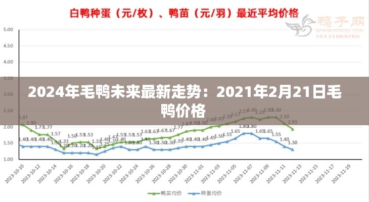 2024年毛鸭未来最新走势：2021年2月21日毛鸭价格 