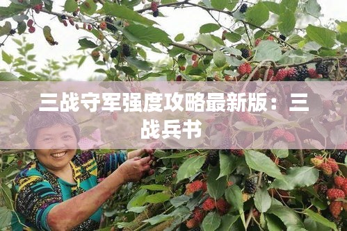 三战守军强度攻略最新版：三战兵书 