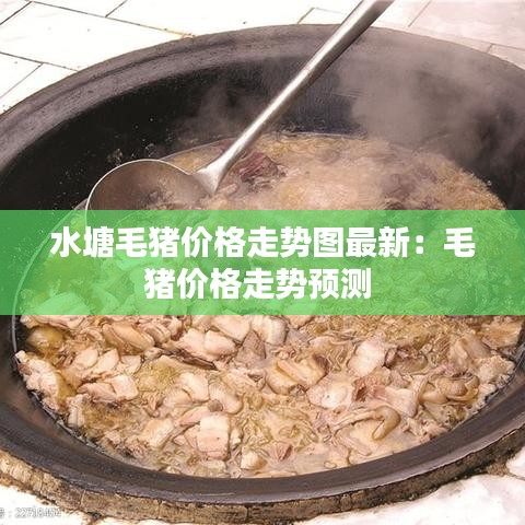 水塘毛猪价格走势图最新：毛猪价格走势预测 