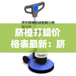 脐橙打蜡价格表最新：脐橙打蜡机 