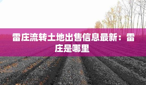 雷庄流转土地出售信息最新：雷庄是哪里 