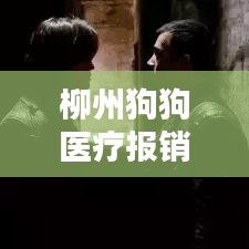 柳州狗狗医疗报销政策最新：柳州哪个宠物医院便宜 