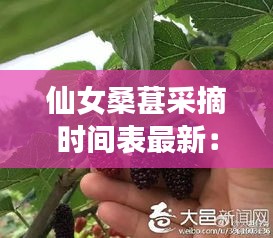 骨瘦如柴 第2页