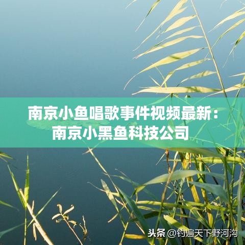 南京小鱼唱歌事件视频最新：南京小黑鱼科技公司 