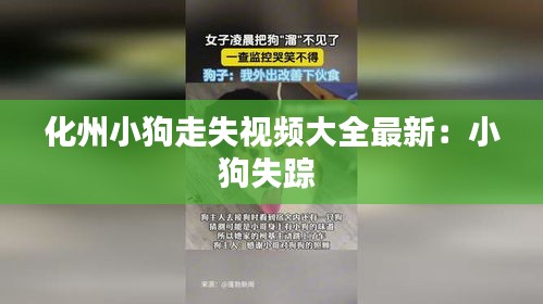 化州小狗走失视频大全最新：小狗失踪 