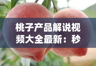 高谈阔论 第2页