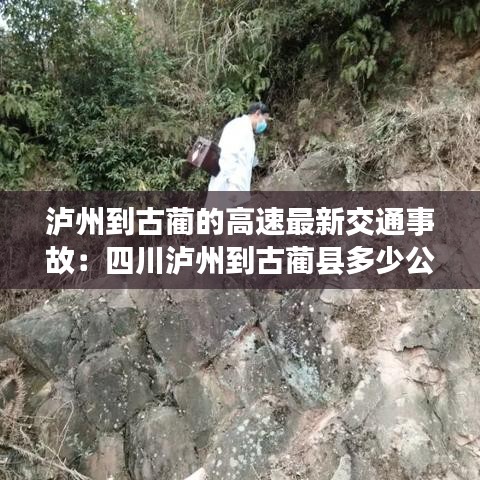 泸州到古蔺的高速最新交通事故：四川泸州到古蔺县多少公里 