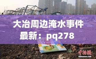 大冶周边淹水事件最新：pq278 