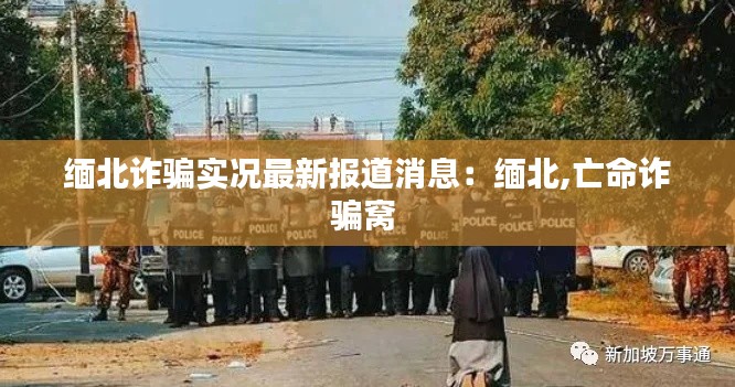 缅北诈骗实况最新报道消息：缅北,亡命诈骗窝 