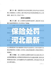 保险处罚河北最新规定：河北省保险条例实施办法 