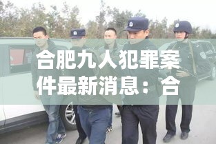 合肥九人犯罪案件最新消息：合肥抓获92人 