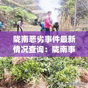 陇南恶劣事件最新情况查询：陇南事件2018 