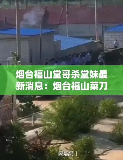 鸟惊鼠窜 第3页