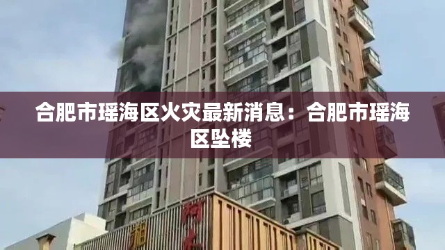 合肥市瑶海区火灾最新消息：合肥市瑶海区坠楼 