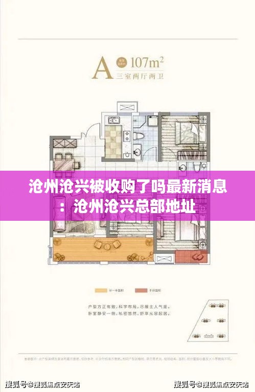 沧州沧兴被收购了吗最新消息：沧州沧兴总部地址 