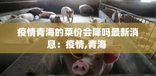 疫情青海的菜价会降吗最新消息：疫情,青海 