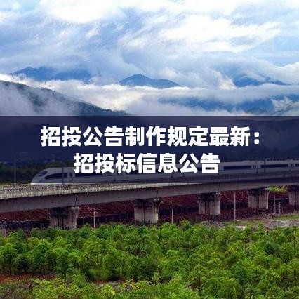 招投公告制作规定最新：招投标信息公告 