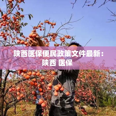 法贵必行 第2页