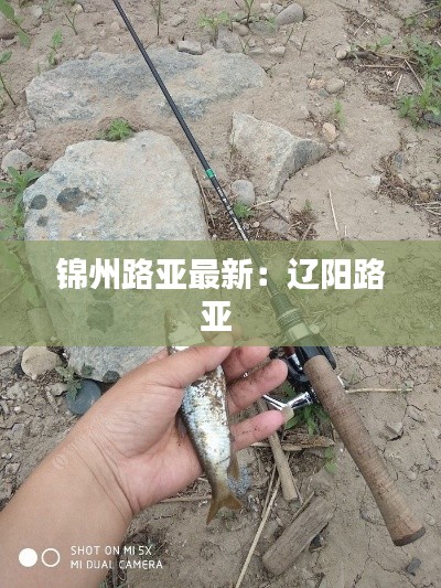 锦州路亚最新：辽阳路亚 