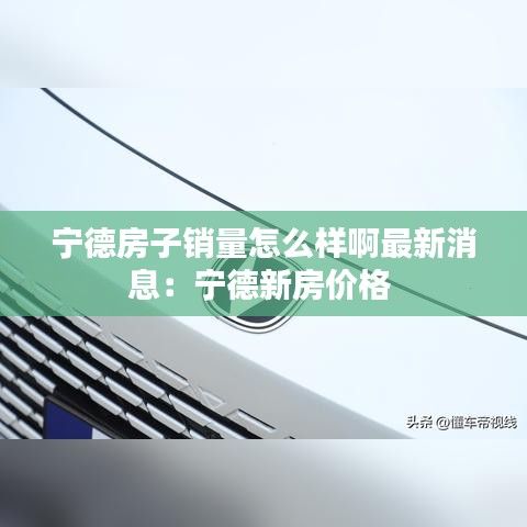 孜孜不倦 第2页