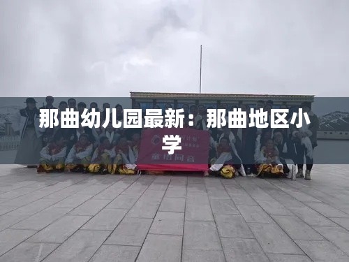 那曲幼儿园最新：那曲地区小学 