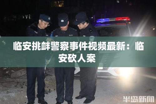 临安挑衅警察事件视频最新：临安砍人案 