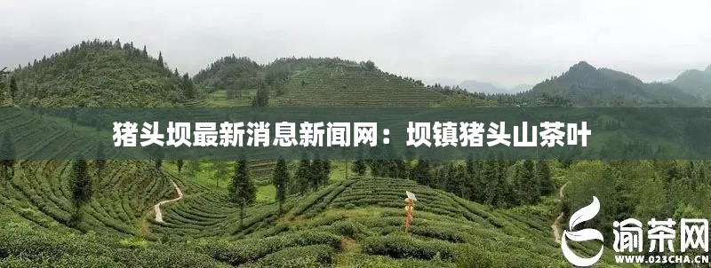风华绝代 第2页