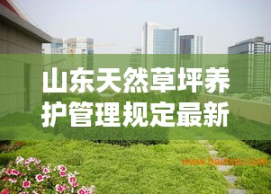 竭尽全力 第2页