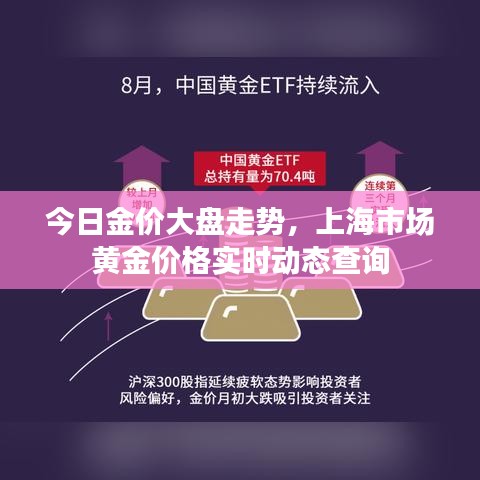 今日金价大盘走势，上海市场黄金价格实时动态查询