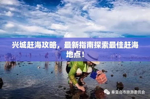 兴城赶海攻略，最新指南探索最佳赶海地点！