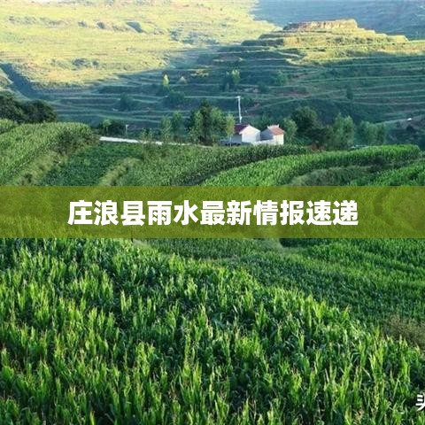 庄浪县雨水最新情报速递