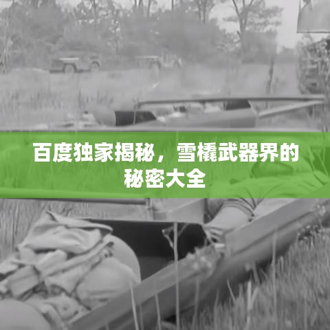 百度独家揭秘，雪橇武器界的秘密大全