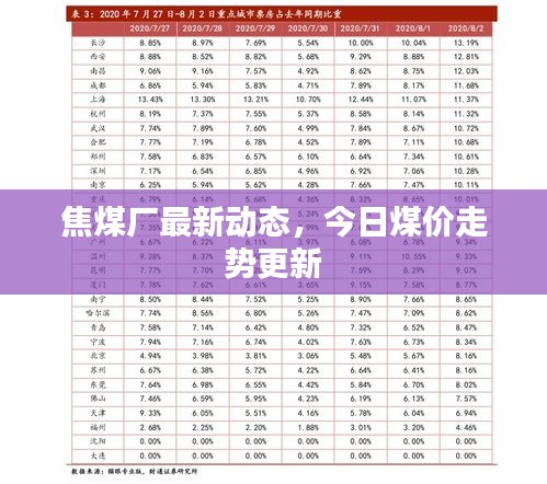 焦煤厂最新动态，今日煤价走势更新
