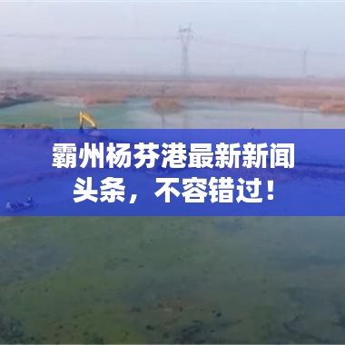霸州杨芬港最新新闻头条，不容错过！