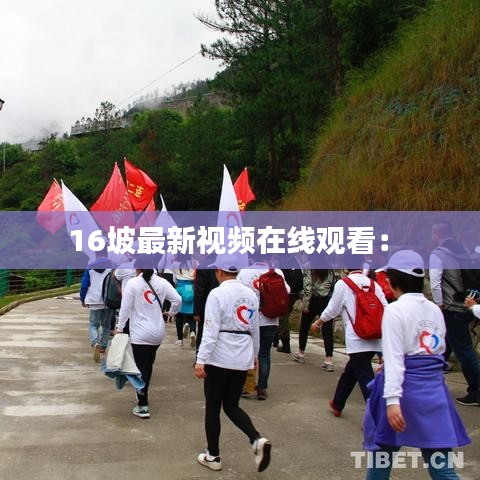 16坡最新视频在线观看： 