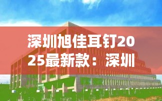 深圳旭佳耳钉2025最新款：深圳旭嘉服饰有限公司 
