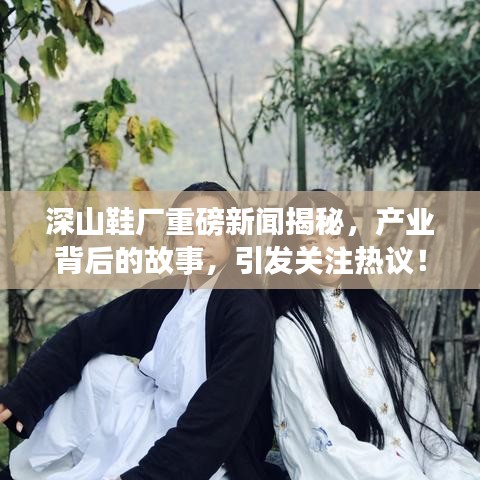 深山鞋厂重磅新闻揭秘，产业背后的故事，引发关注热议！
