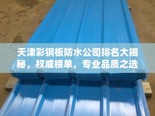天津彩钢板防水公司排名大揭秘，权威榜单，专业品质之选！