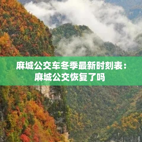 麻城公交车冬季最新时刻表：麻城公交恢复了吗 