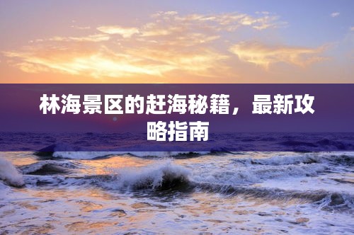 林海景区的赶海秘籍，最新攻略指南