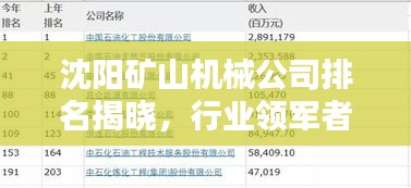 沈阳矿山机械公司排名揭晓，行业领军者榜单出炉！