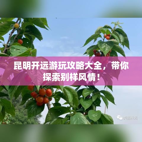 贵险贱璧 第2页