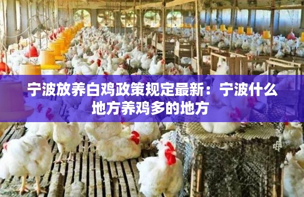 宁波放养白鸡政策规定最新：宁波什么地方养鸡多的地方 