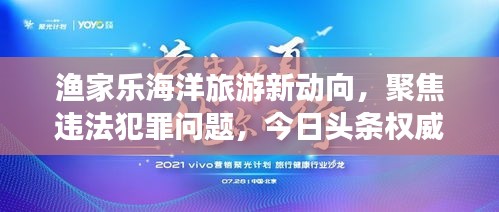 渔家乐海洋旅游新动向，聚焦违法犯罪问题，今日头条权威发布