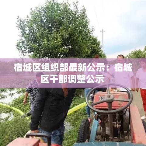 宿城区组织部最新公示：宿城区干部调整公示 