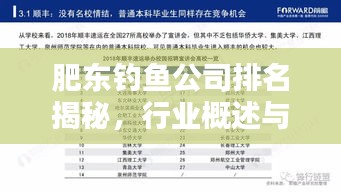 肥东钓鱼公司排名揭秘，行业概述与热门推荐
