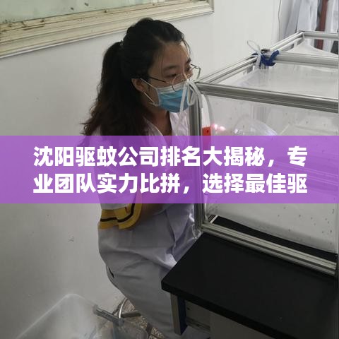沈阳驱蚊公司排名大揭秘，专业团队实力比拼，选择最佳驱蚊服务！