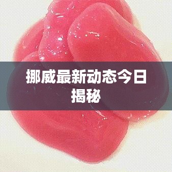 挪威最新动态今日揭秘